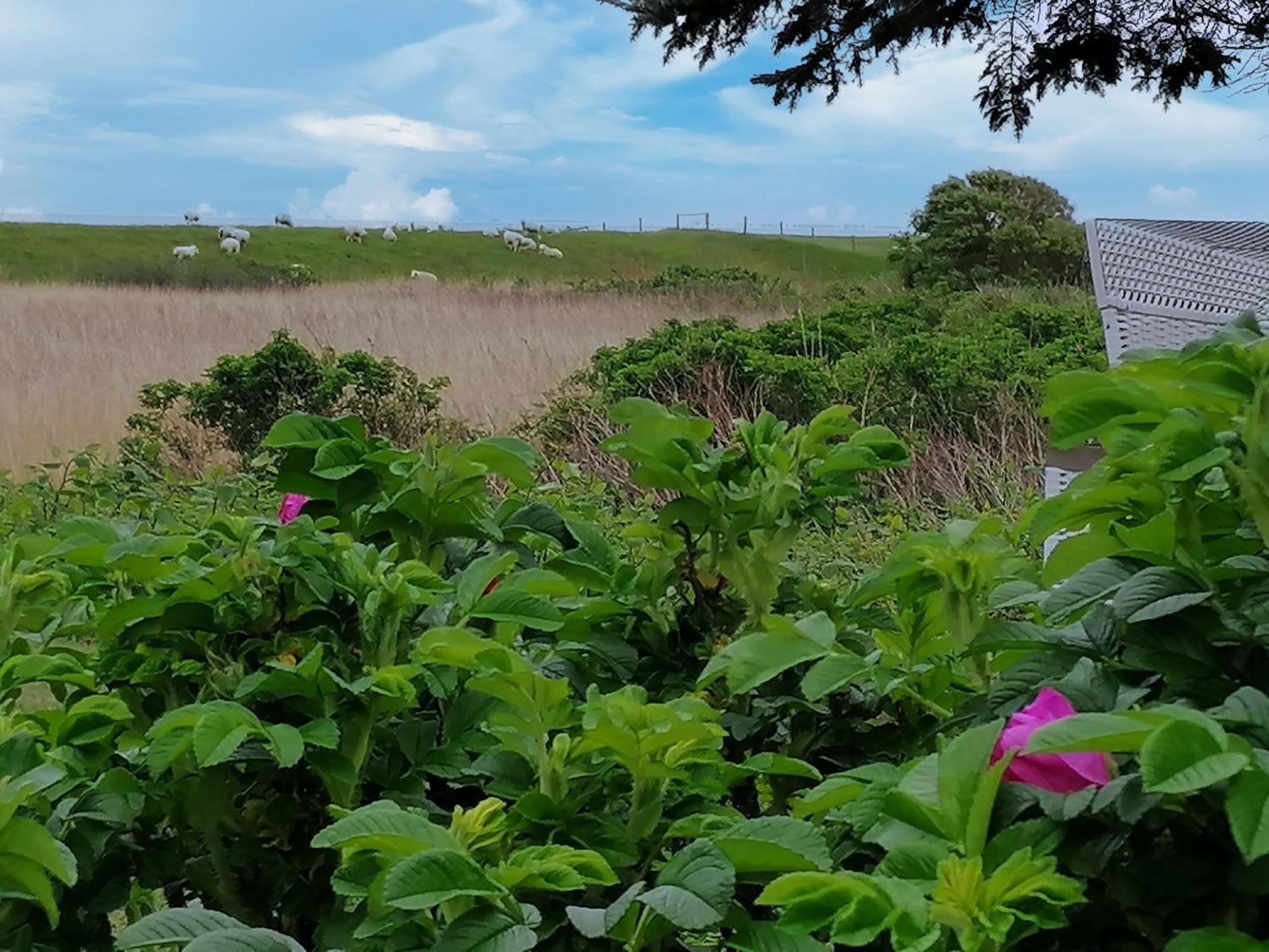 Ferienwohnungen Peters Sylt Esterno foto